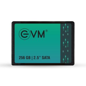 EVM 256GB 2.5-Inch SATA Internal SSD - 550MB/s Read & 500MB/s Write - 5-Year Warranty (EVM25/256GB)
