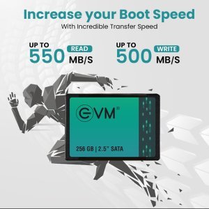 EVM 256GB 2.5-Inch SATA Internal SSD - 550MB/s Read & 500MB/s Write - 5-Year Warranty (EVM25/256GB)