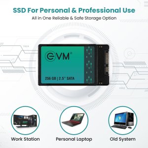 EVM 256GB 2.5-Inch SATA Internal SSD - 550MB/s Read & 500MB/s Write - 5-Year Warranty (EVM25/256GB)