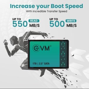 EVM 1TB 2.5-Inch SATA Internal SSD - 550MB/s Read & 500MB/s Write - 5-Year Warranty (EVM25/1TB)