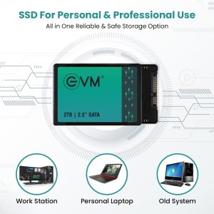 EVM 2TB 2.5-Inch SATA Internal SSD - 550MB/s Read & 500MB/s Write - 5-Year Warranty (EVM25/2TB)