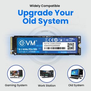 EVM 256GB M.2 NVMe Internal SSD (2280) - 2000MB/s Read - PCIe Interface Gen 3x4-4X Faster Than SATA SSD- 5 Year Warranty, 256GB