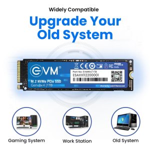 EVM 1TB Gen 3 NVMe (2280) Internal SSD - 2500MB/s Read - PCIe Gen 3x4-5-Year Warranty (EVMNV/1TB)