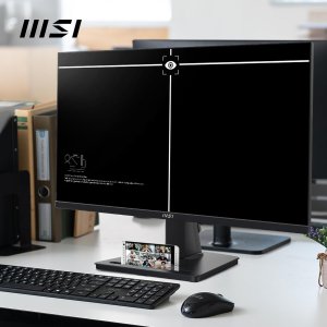 MSI Pro MP251, 25 Inches , IPS, 1920 x 1080 (FHD), 100Hz, TUV Certified Eyesight Protection, 4ms, Displayport, HDMI, Tilt